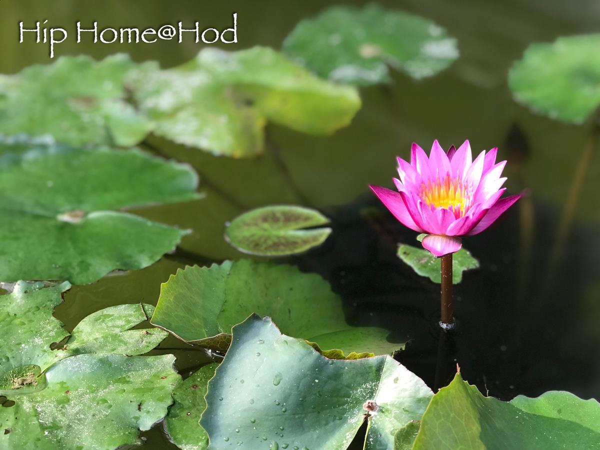 Hip Home At Hod Hot Exterior photo
